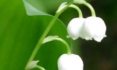 探寻古诗词中温暖亲情的语句，表达家庭情感的经典句式