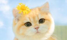 一份2022的生活指南：激励自己的句子，让你绽放自信、迎接新时代的挑战！