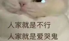 让您眼前一亮、忍俊不禁的文案，一看就能让您笑声不止！