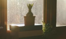 66句关于心情开心的句子，让你每日开心如晨曦、快乐如天际！