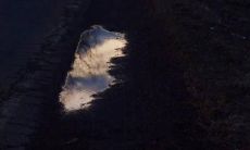 在情感受挫时满腔痛楚的感慨与倾诉，让内心深处的疼痛与难过化为言语流露的心情文集