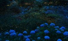 如何用幽默的方式哄女友开心和消气：一些简单句子和技巧