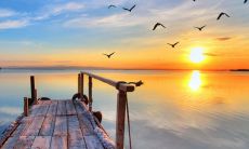 举世无双的美好，令人陶醉的爱情：表达对恋爱的盛赞