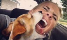 如何使用幽默的句子让你的女友欢心大增？