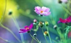 经过友情相互磨合而催生的经典句子集锦