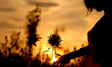 以经典句子表达内心悲痛和伤感的深层情感体验