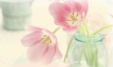 古风文化中表达亲情的精美句子盘点