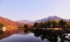 如何运用诗句来描述令人心醉的美景？