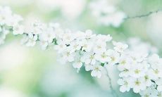 15个表达亲情浓厚的感人句子，让你深刻感受亲情的真谛