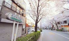 度过愉快时光，心情愉悦而欣喜地玩耍了一番