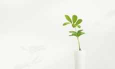 当亲情之间的火苗熊熊燃烧：谈谈家庭中的情感连结和情感善后