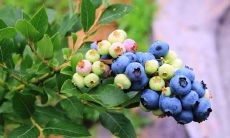 充满亲情温暖的句子，展现家庭情感的温馨功能