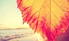 分享一些让人感觉开心的经典句子