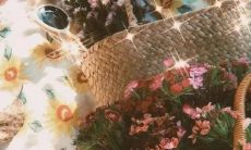 一连串令人心碎的话语，让人陷入悲伤的情感之中