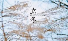 追寻立冬季节的美好情感，探寻唯美至深的立冬句子