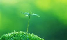 如何在个人生活和职场中表现得更加成功和体面的座右铭？