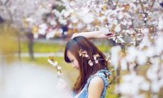 等待一场绚烂多彩、充满生命力的花海盛宴，是人生中最珍贵的幸福之一