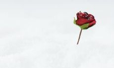 用一句让人心碎的话来表达感情失落：击碎我内心的充满憔悴、伤感的句子