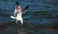 一份经过精心搜寻的富有美感的句子收藏