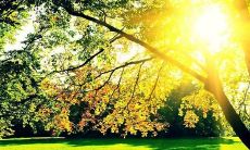 周末问候和关心短信：一个简单而有效的方式，打造紧密的朋友和家人之间的连结！