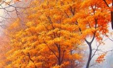 值得积累的优美句子，让你感受到亲情真诚温暖的美好力量