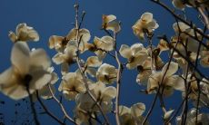 时光无情，季节的更替不停言说：岁月悠长，时间如梭，证明着一切已在不断变化之中