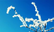 霜降来临，聊聊经典句子和情感短语，记录内心更丰富的情感世界