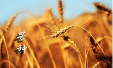 2022年的芒种：经典又好听的说说，分享在微信朋友圈的芒种感悟和心情！