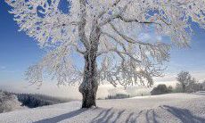 无论富贵贫穷，快乐乃人生至上的格言：有钱没钱都要怀着开开心心的心态度日