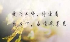 从心碎句子到短句：探讨句子长度与表达情感的关系