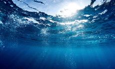 公司在端午节向客户发出问候短信以表达关怀之心