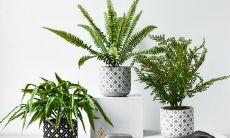 精选收录不少于30个关于亲情的优美、感人句子，让您领略亲情的力量和温度