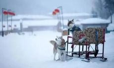 创意生动的描述下雪情景的优美短语集合