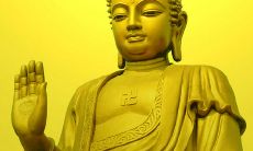 深入探索佛陀教义的精华，汲取智慧涵泉的佛家经典语录大全