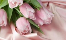 分享，让女生瞬间心动的最有吸引力的朋友圈分享技巧