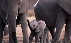 珍惜母亲无条件包容的亲情，让我们倍感爱和温暖