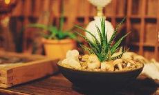 如何选择适合自己的个性签名——只有自己才知道的冷暖自知之道