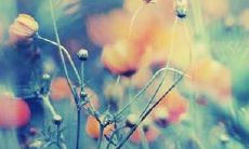 自我反思：分享自己在幸福、快乐、伤心和痛苦中的心情和感受