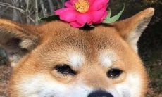 多笑笑，快乐添增，感受幸福的心情，收获幸福的生活！