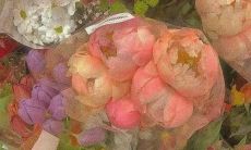 享受温馨和美好的春日：一个充满温柔与希望的文案