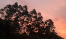 无法挽回的懊悔之情：浅谈遗憾、伤感及其相关表达