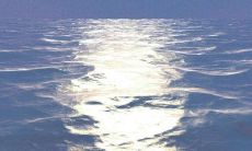 10个能让你感受幸福的充满美感的简短语句