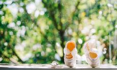 永不分离的亲情：一种无尽的情感纽带