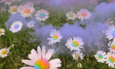 掌握点赞制度的实用技巧：如何打造点赞率最高的说说短句？