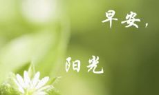 早晨赠送暖心句子美图的完美选择