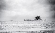 当你将心中最初的期望匠心独运投向你身边最知心的友人，却不幸迎来失望和伤心的时刻