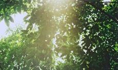 经典感人的赞美亲情的动人句子，唤起深沉感悟和家庭亲情之美！