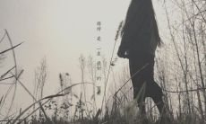 一句句深刻而富有感悟的文字，描绘出心碎时的无力和痛苦