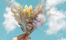 展现温馨治愈的风格：清新文案小句子