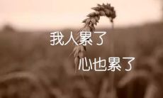 有哪些能够表达真情实感的分手离别发朋友圈的方式？